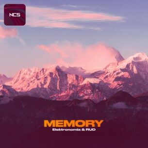 Elektronomia Memory
