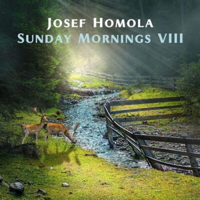 Josef Homola Sunday Mornings VIII