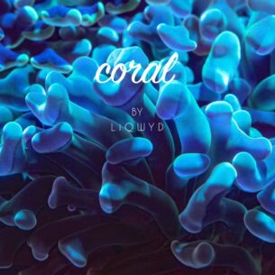 LiQWYD Coral