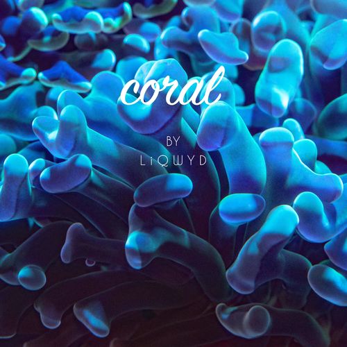 LiQWYD Coral