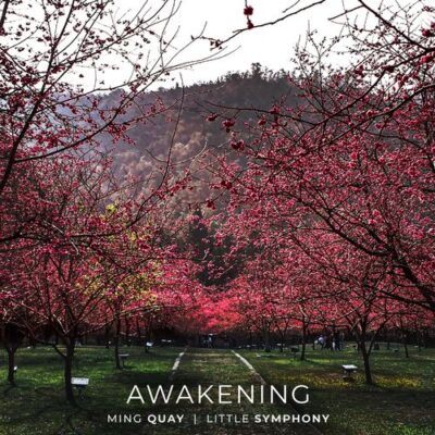 Little Symphony Awakening