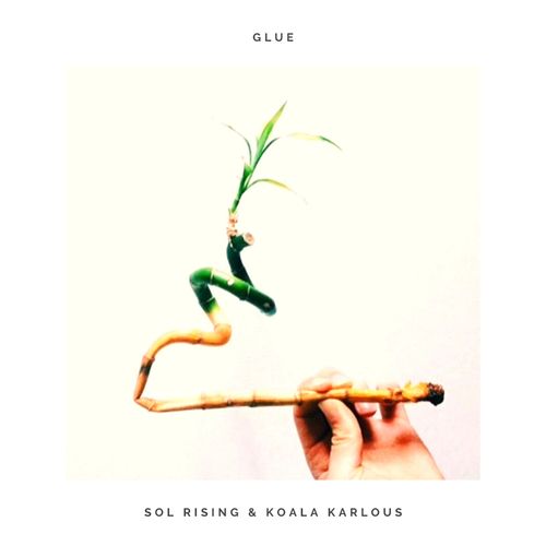Glue