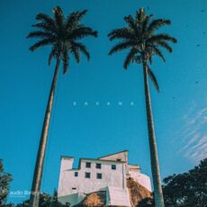 Vendredi Savana