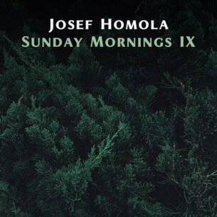 Josef Homola Sunday Mornings IX