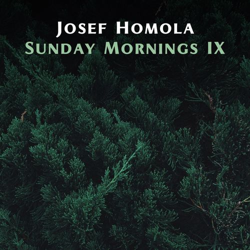 Josef Homola Sunday Mornings IX