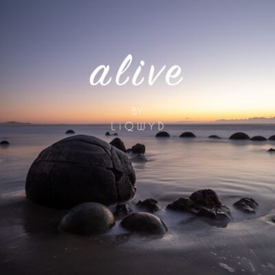 LiQWYD Alive