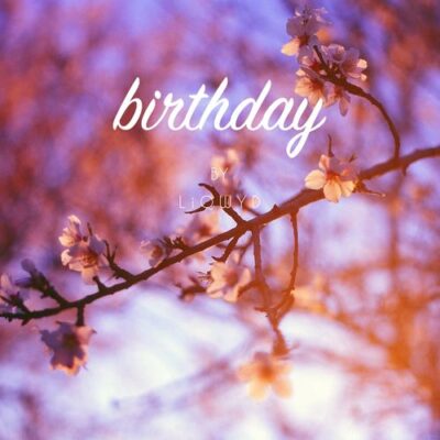 LiQWYD Birthday