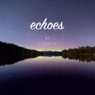 LiQWYD Echoes
