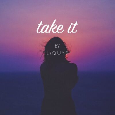 LiQWYD Take It