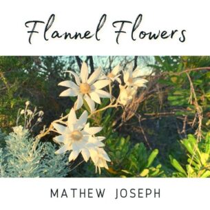 Mathew Joseph Flannel Flowers