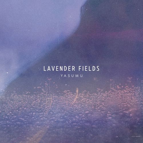 Yasumu Lavender Fields