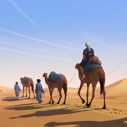Desert Night