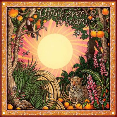 Cloudchord Citrus Fever Dream