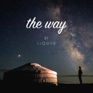 LiQWYD The way