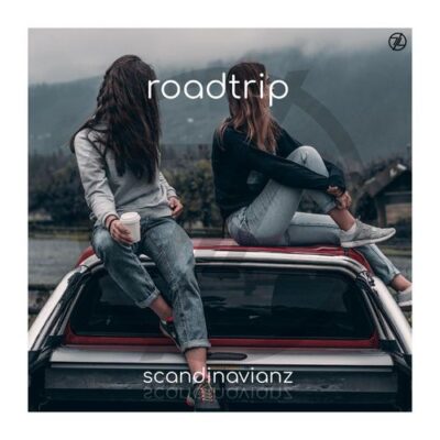 Scandinavianz Roadtrip