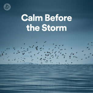 Calm Before the Storm (Playlist)