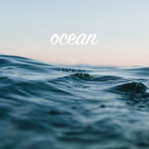 LiQWYD Ocean