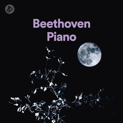 Piano Sonata No.17 in D minor, Op.31 No.2 -"Tempest" : 3. Allegretto