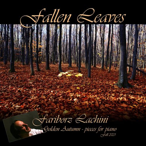 Fallen Leaves