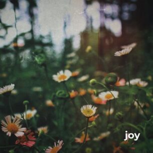 Morninglightmusic Joy
