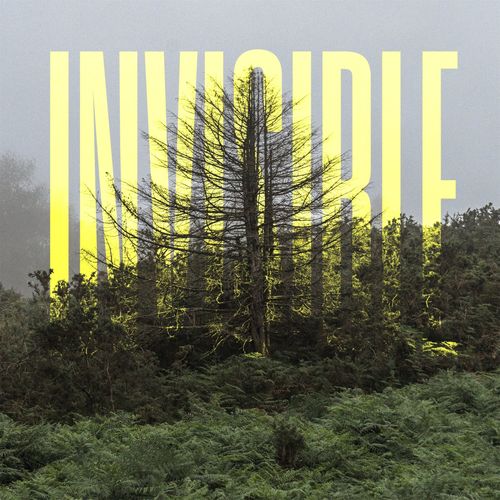 Ólafur Arnalds The Invisible EP
