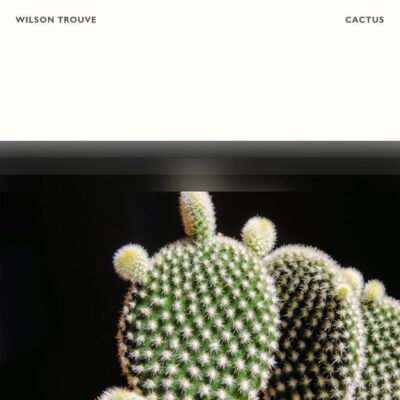 Wilson Trouvé Cactus