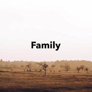Infraction Music Family
