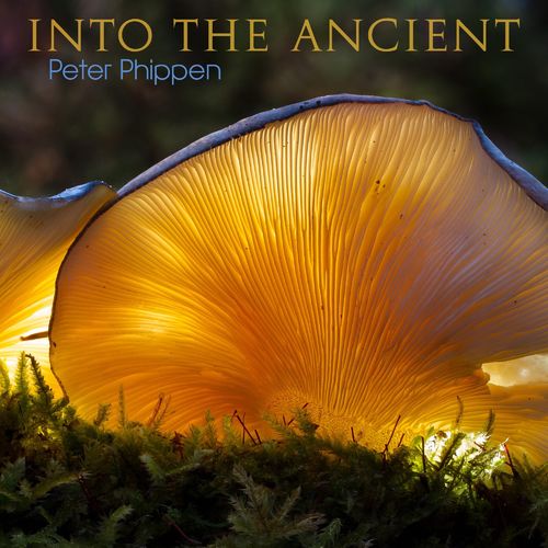 Peter Phippen Into the Ancient