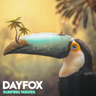 DayFox Surfing Waves