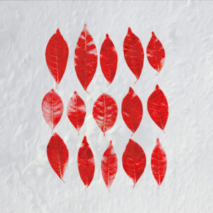 PerfectParadox - Red Leaves