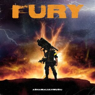 AShamaluevMusic Fury