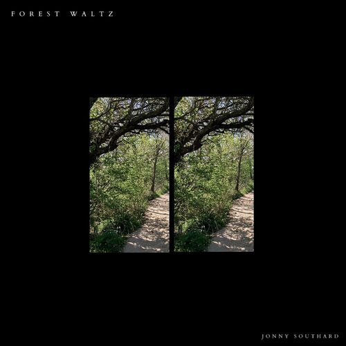 Jonny Southard Forest Waltz