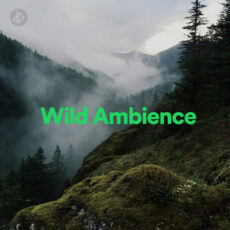 Wild Ambience (Playlist)