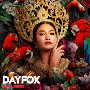 DayFox Soul Birds