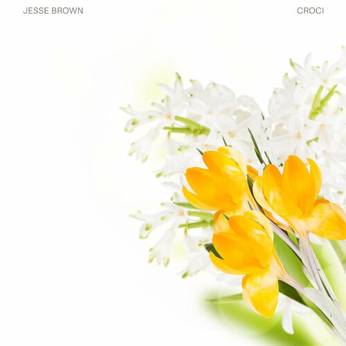 Jesse Brown Croci