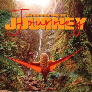 AShamaluevMusic Journey