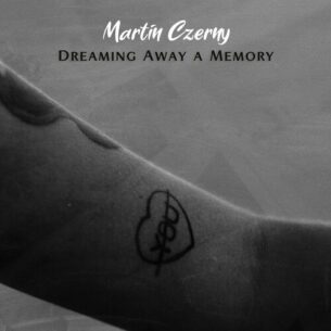Dreaming Away a Memory
