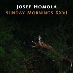Sunday Mornings XXVI