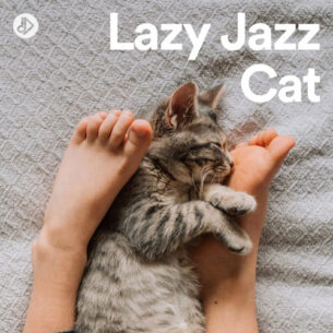 Lazy Jazz Cat