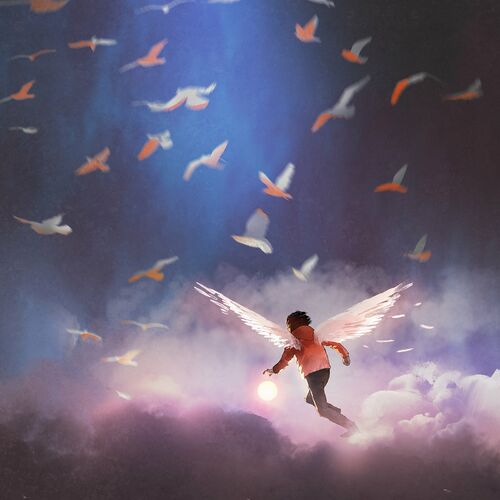 Fly