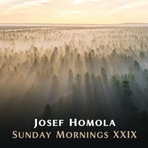 Sunday Mornings XXIX