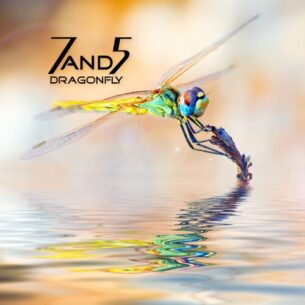Dragonfly 7and5