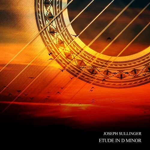 Etude In D Minor Joseph Sullinger