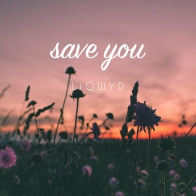 Save You LiQWYD