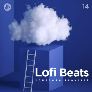 lofi beats 14