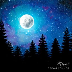 Night Dream Sounds