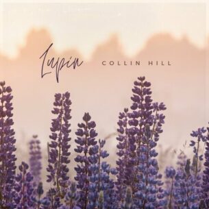 Lupin Collin Hill