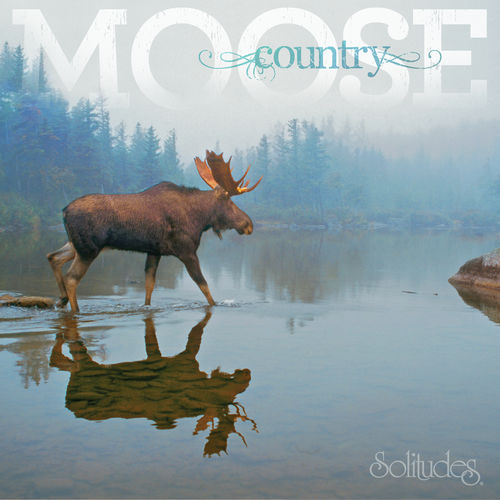Moose Country Dan Gibsons Solitudes