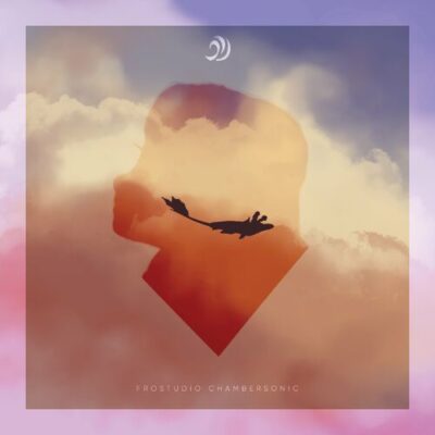 Not So Romantic Flight Frostudio Chambersonic