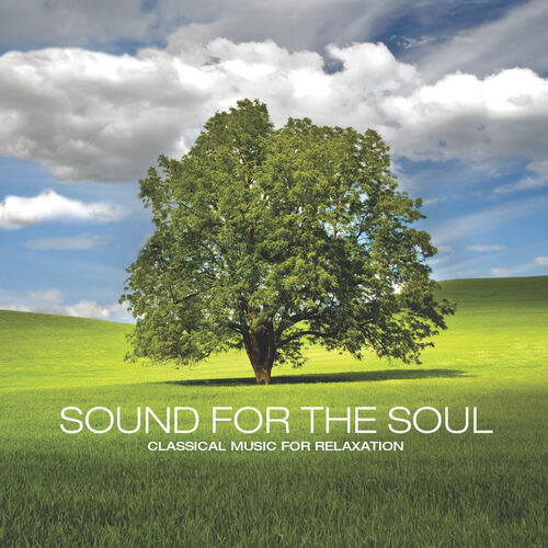 Sound for the Soul Classical Music for Relaxation Yuri Sazonoff